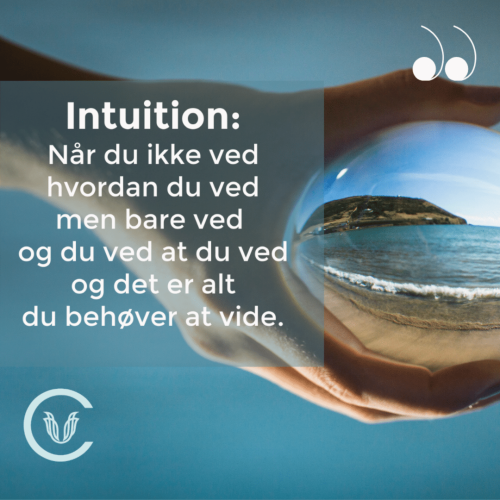 citat intuition